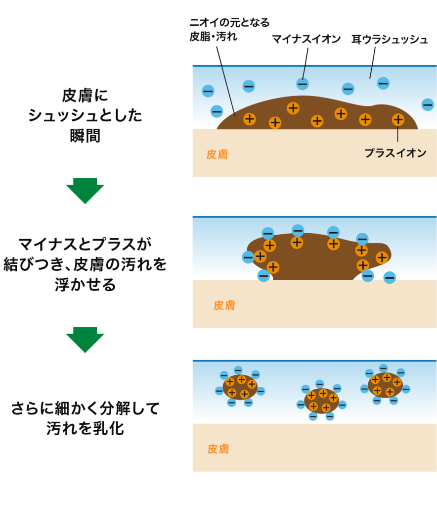 足ウラシュッシュ