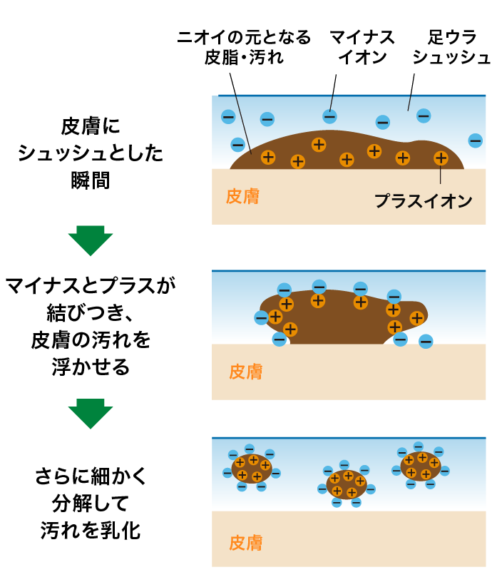 足ウラシュッシュ