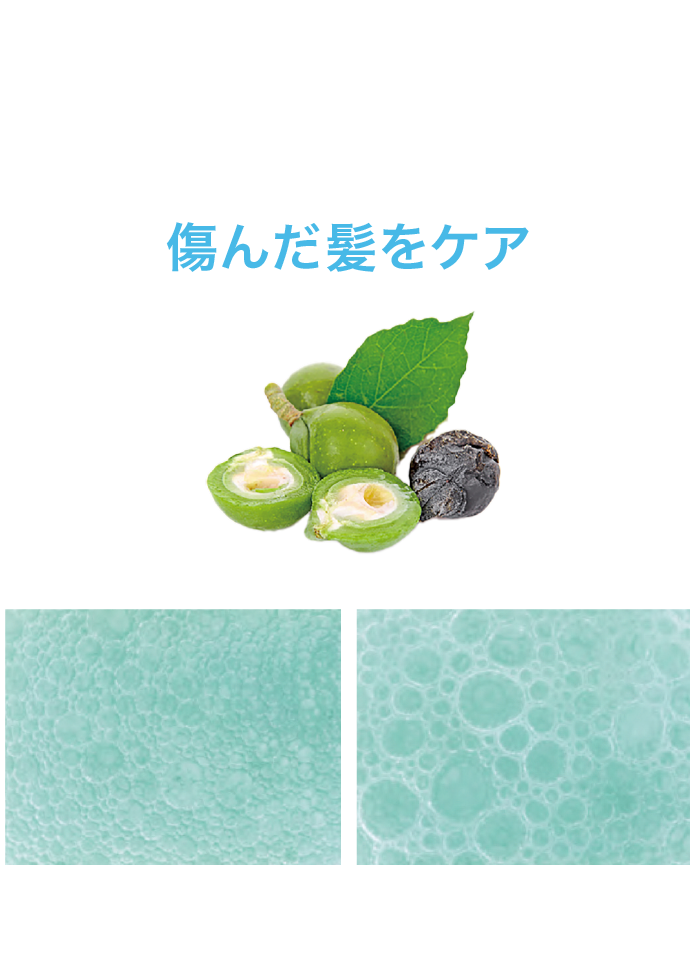 アミノブラックシャンプー